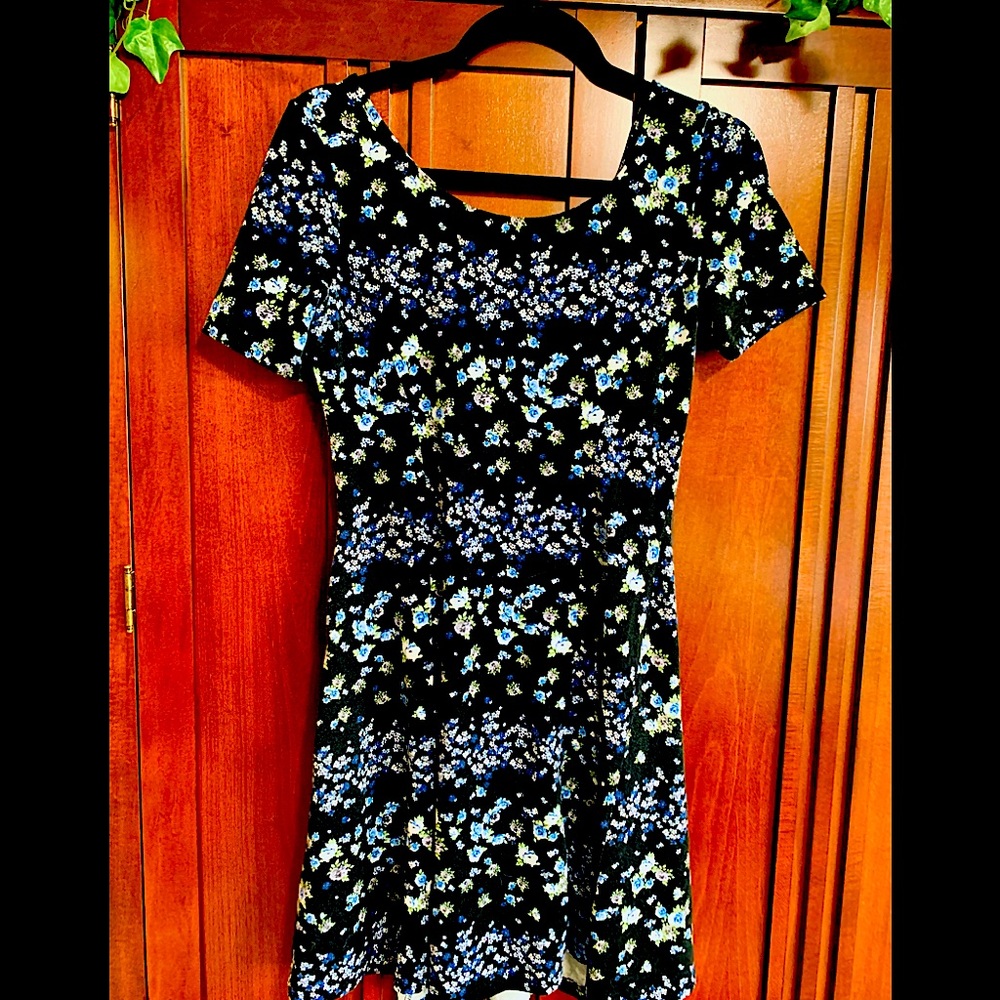 Divided Black dress with small blue/white flowers